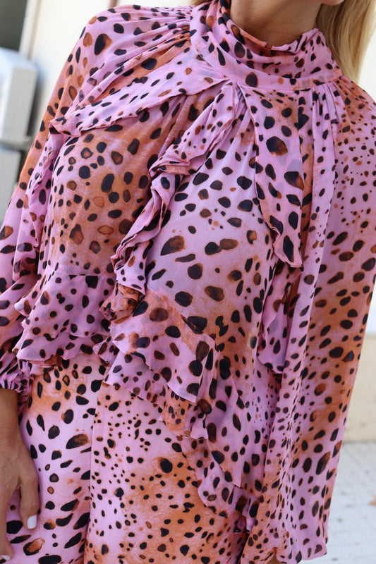 Conjunto